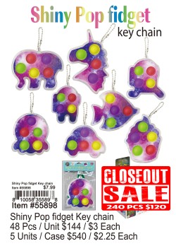 Shiny Pop Fidget Keychain